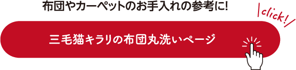 布団やカーペットのお手入れの参考に！三毛猫キラリの布団丸洗いページ