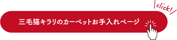 三毛猫キラリのカーペットお手入れページ