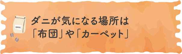 ダニが気になる場所は「布団」や「カーペット」