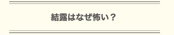 結露はなぜ怖い？