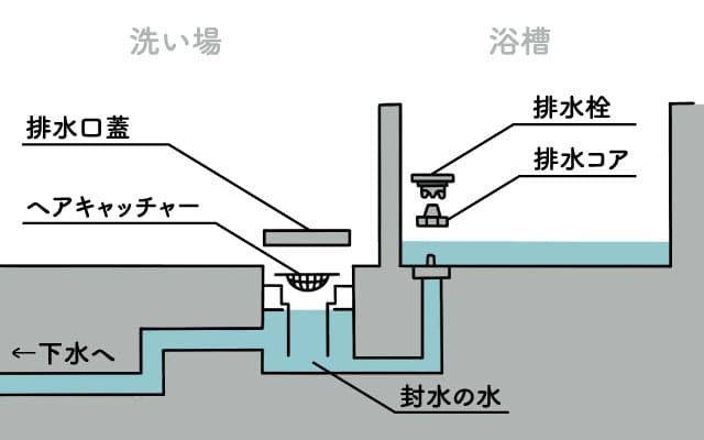 排水管の仕組み