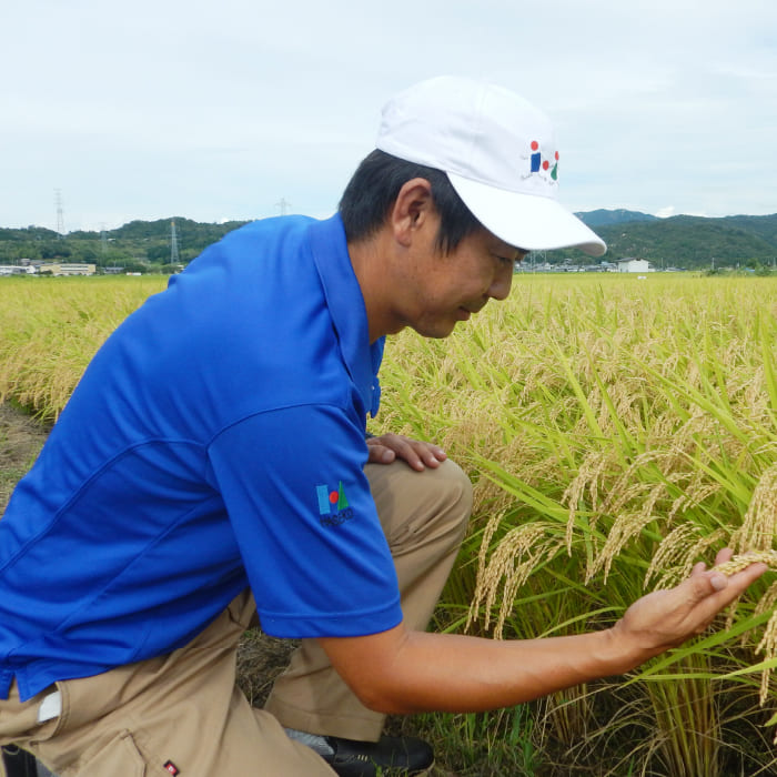 抽選で20名さまに当たる！【長谷工あんしんデリ】たなかみ米 3.6kg