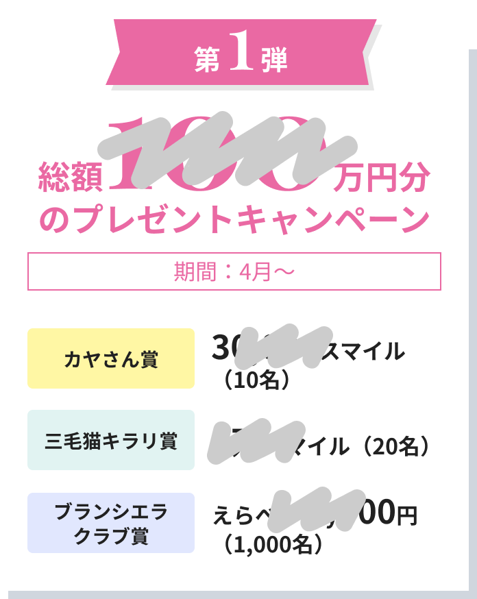 第1弾　総額〇〇万円分のプレゼントキャンペーン　期間：4月〜　カヤさん賞　三毛猫キラリ賞　ブランシエラクラブ賞