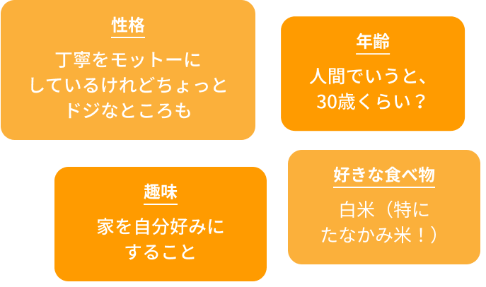 性格　丁寧をモットーにしているけれどちょっとドジなところも　年齢　人間でいうと、30歳くらい？　趣味　家を自分好みにすること　好きな食べ物　白米（特にたなかみ米！）