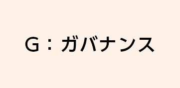 G：ガバナンス