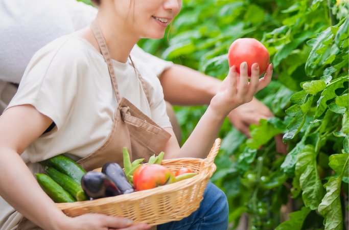 のびのび菜園ライフ