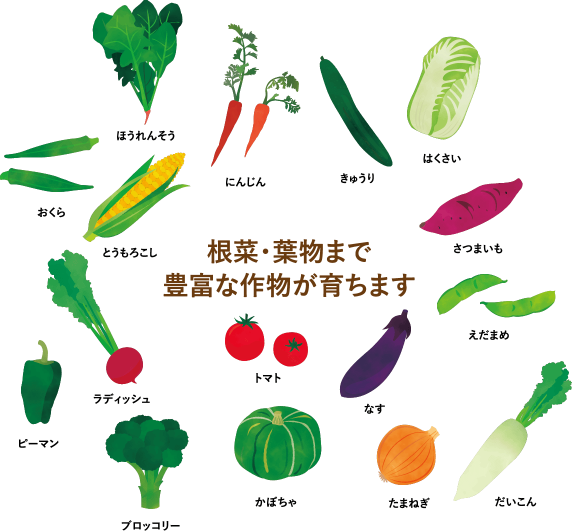 収穫できる野菜