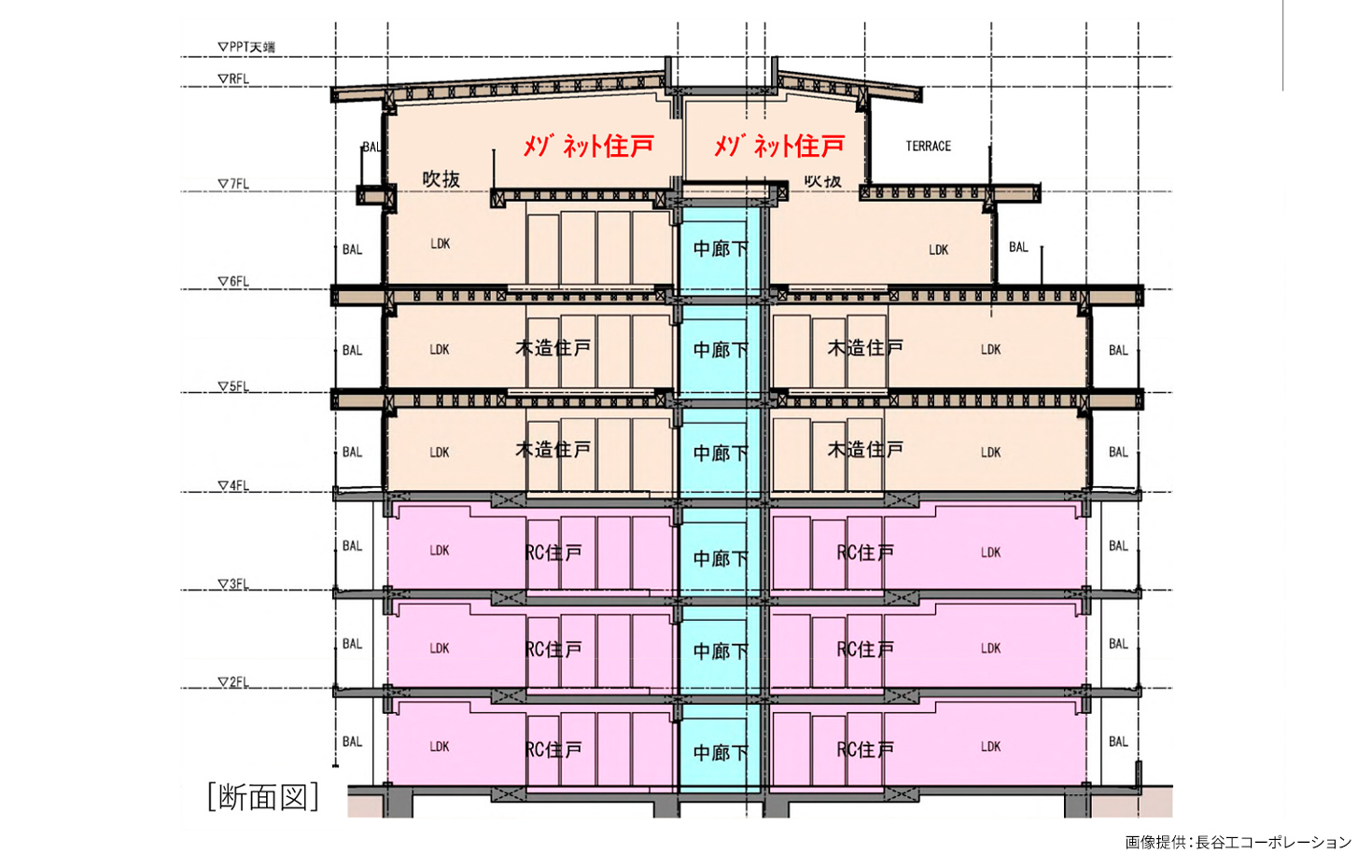 RC造 + 木造ハイブリッド構造断面図